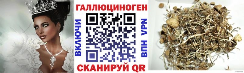 Галлюциногенные грибы GOLDEN TEACHER  Купить  Ува 